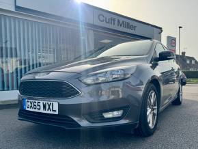 FORD FOCUS at Cuff Miller Littlehampton