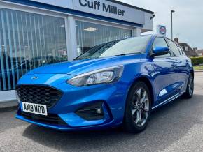 FORD FOCUS at Cuff Miller Littlehampton